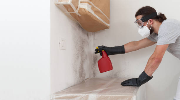 Professional Basement Mold Remediation technician working in Summit, NJ